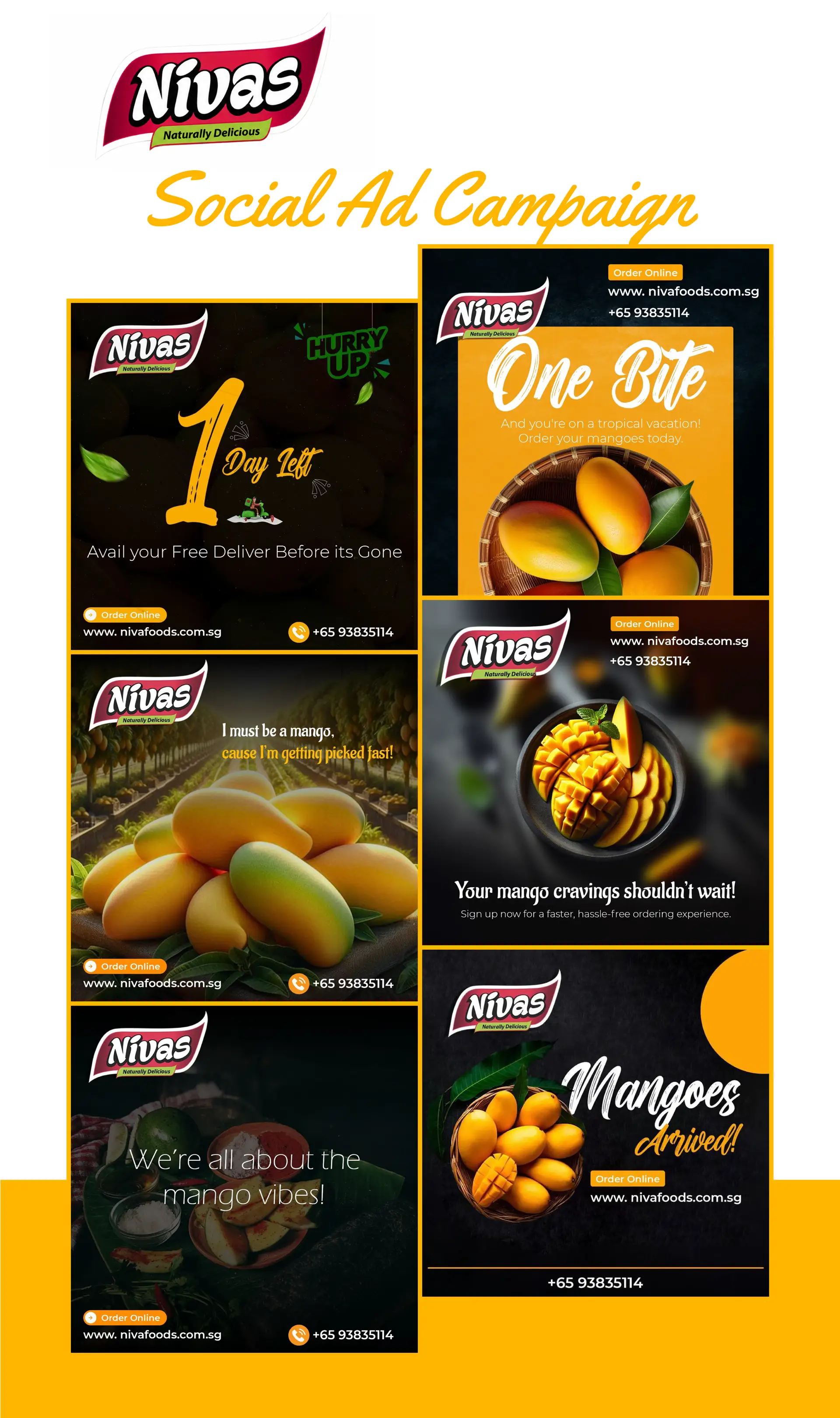 Digital ad campaign and creative drops for Nivas Foods