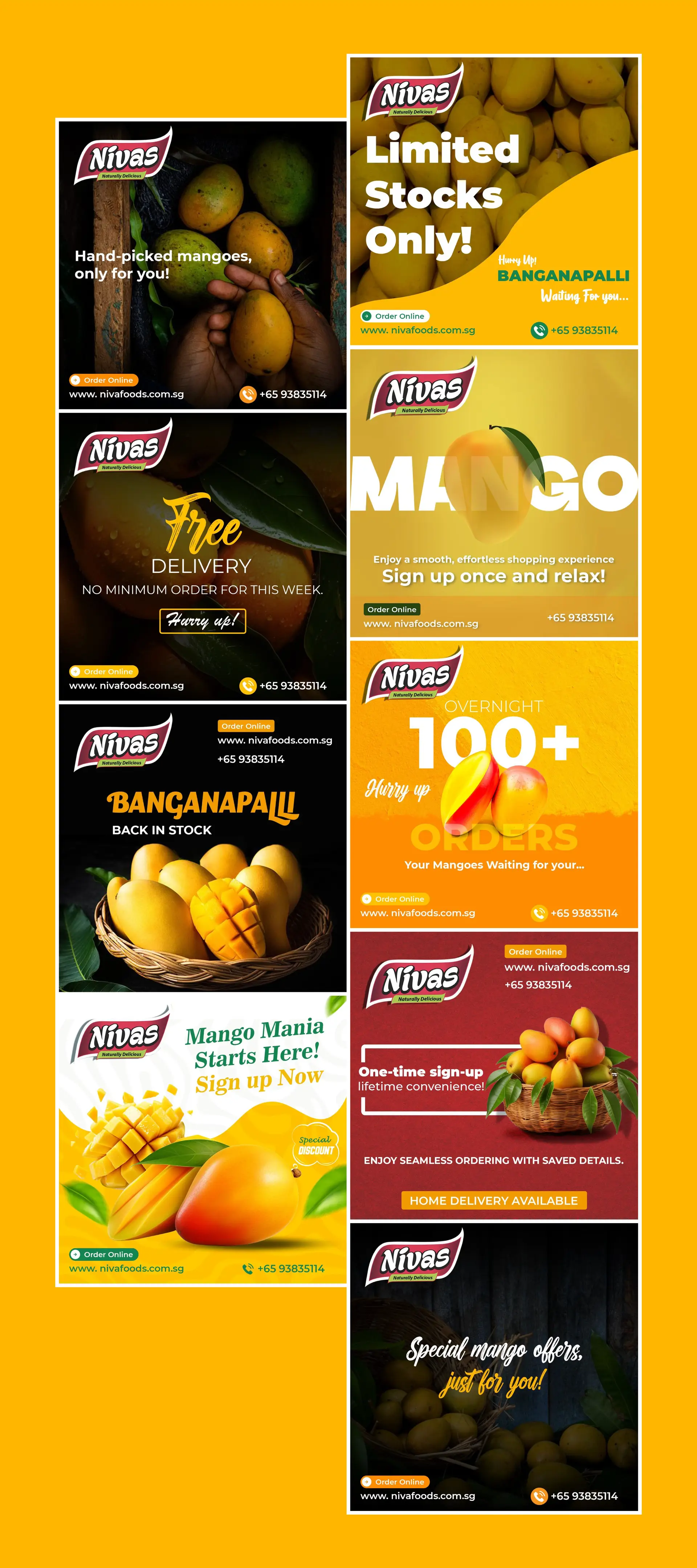 Digital ad campaign and creative drops for Nivas Foods